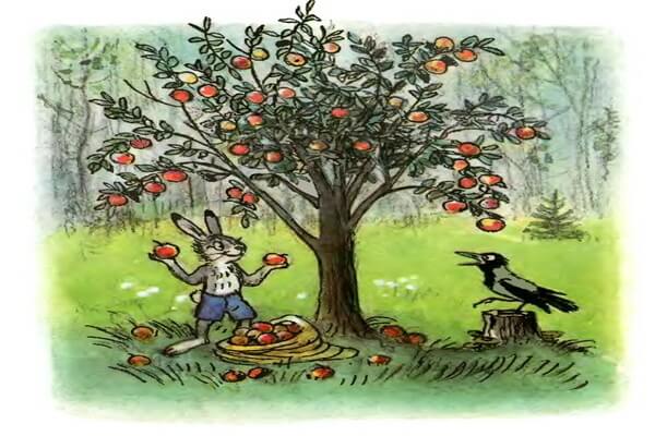 Иллюстрации Владимира Сутеева к сказке Мешок яблок