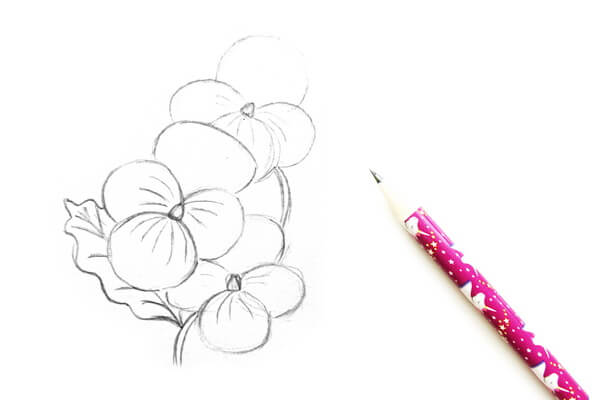 Как нарисовать цветок Анютины глазки