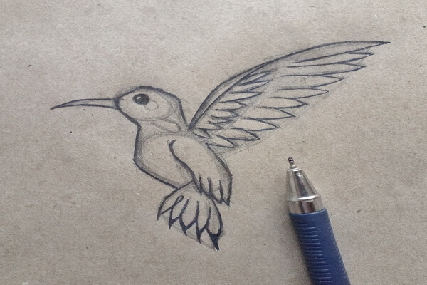 Как нарисовать колибри поэтапно - шаг 5