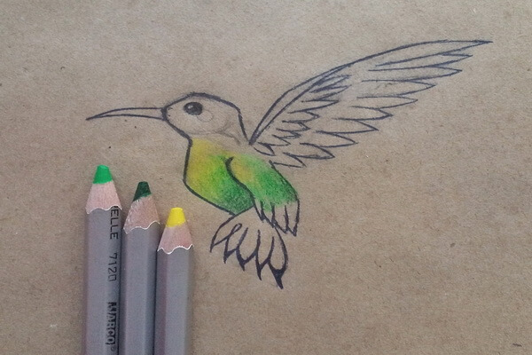Как нарисовать колибри поэтапно - шаг 6