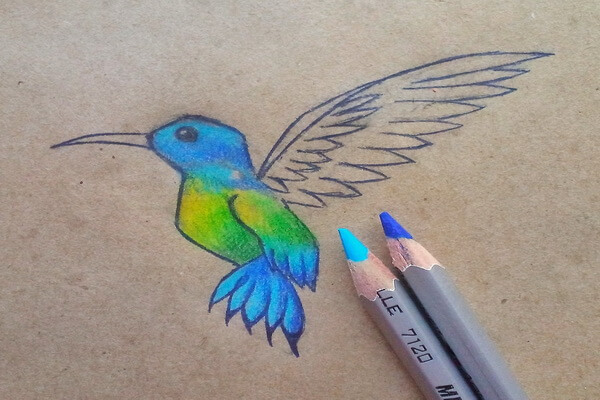 Как нарисовать колибри поэтапно - шаг 7
