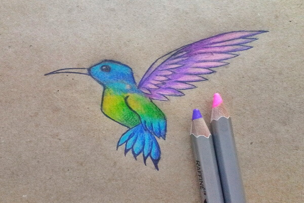 Как нарисовать колибри поэтапно - шаг 8