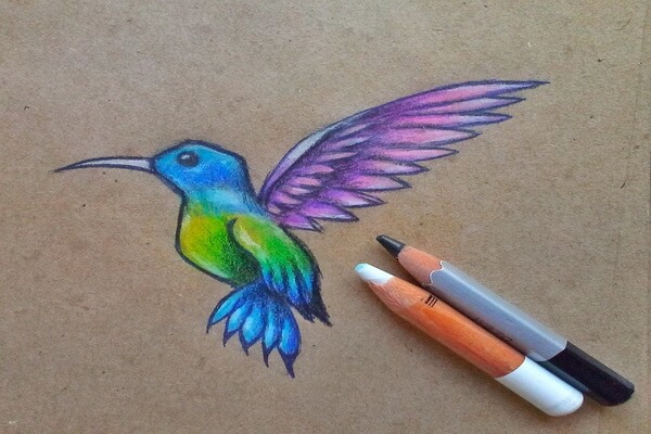 Как нарисовать колибри поэтапно - шаг 9