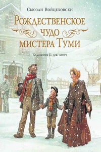 Новогодние книги для детей - «Рождественское чудо мистера Туми», Сьюзан Войцеховски