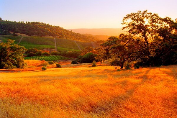 Самые красивые осенние места с фото и описанием - Сонома в Калифорнии, США