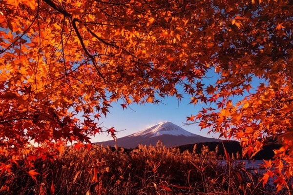 Самые красивые осенние места с фото и описанием - Гора Фудзи в Японии