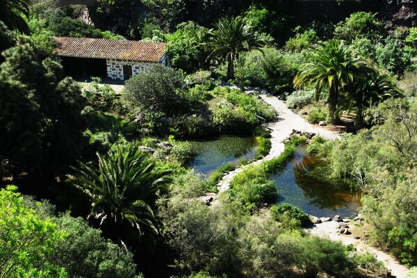 Самые красивые сады мира с фото и описанием - Ботсад Виера-и-Клавихо на Канарских островах
