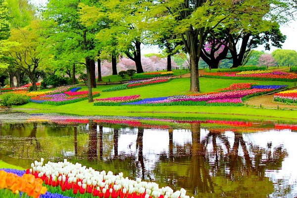 Самые красивые сады мира с фото - Кёкенхоф в Нидерландах