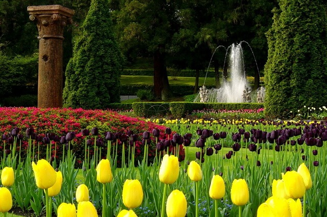 Самые красивые сады мира с фото и описанием